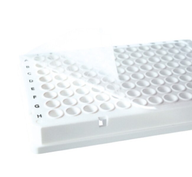 Thermo Scientific™ ABsolute qPCR Plate Seals