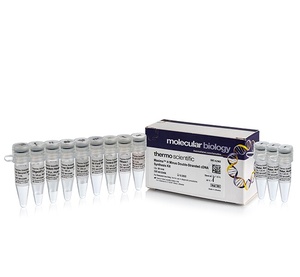 Thermo Scientific™ Maxima H Minus Double-Stranded cDNA Synthesis Kit