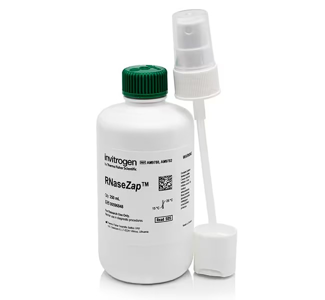 Invitrogen™ RNaseZap™ RNase Decontamination Solution