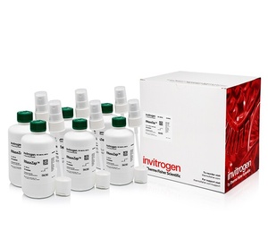 Invitrogen™ RNaseZap™ RNase Decontamination Solution