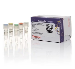 Thermo Scientific™ Maxima™ First Strand cDNA Synthesis Kit for RT-qPCR, with dsDNase