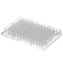 Thermo Scientific™ Nunc™ Clear Flat-Bottom 96-Well Plates
