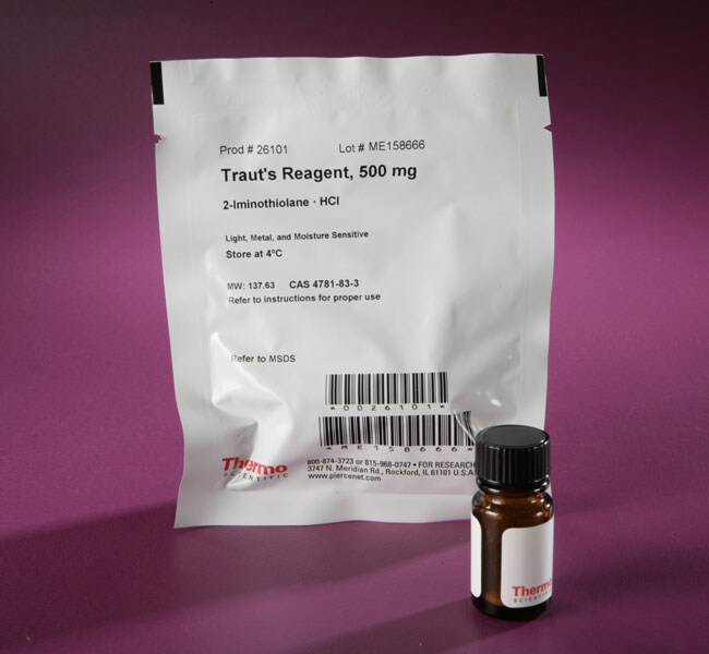 Thermo Scientific™ Pierce™ Traut's Reagent (2-iminothiolane), 500mg