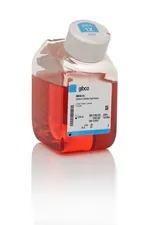 Gibco™ Zeocin™ Selection Reagent