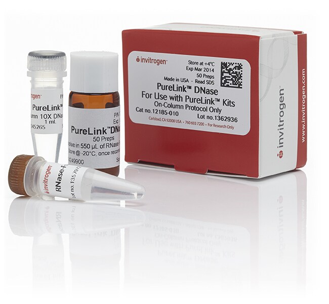 Invitrogen™ PureLink™ DNase Set