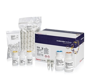 Thermo Scientific™ GeneJET FFPE DNA Purification Kit