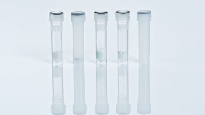 PowerWater DNA Bead Tube
