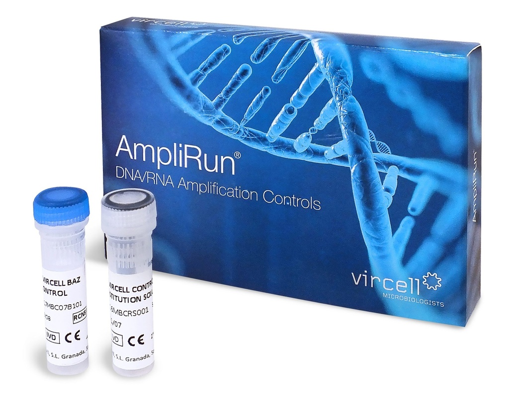 AMPLIRUN® Salmonella DNA Control, 10,000-20,000 copies/µl