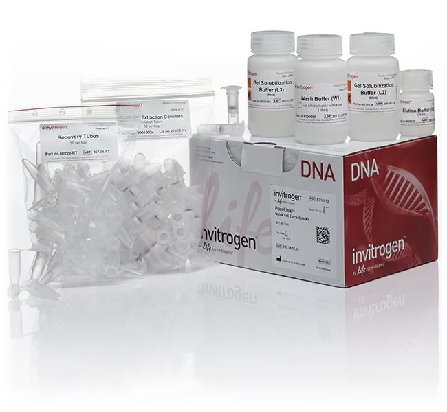 Invitrogen™ PureLink™ Quick Gel Extraction Kit