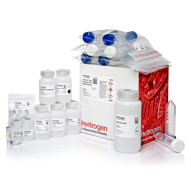 Invitrogen™ PureLink™ Expi Endotoxin-Free Maxi Plasmid Purification Kit