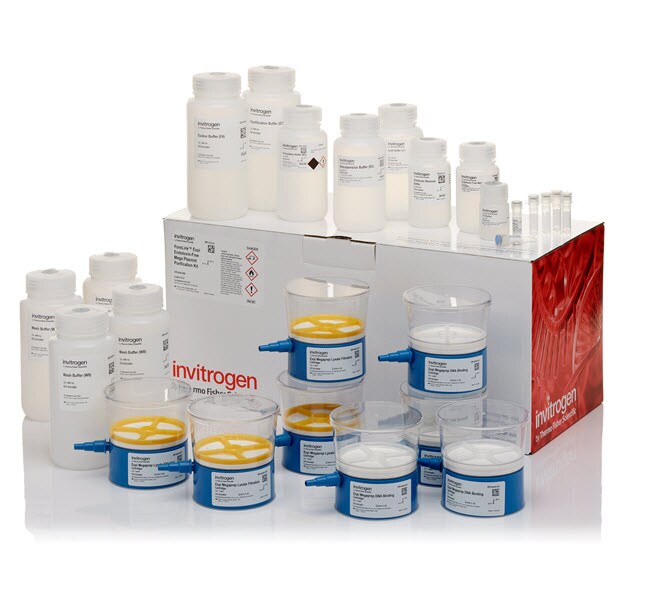 Invitrogen™ PureLink™ Expi Endotoxin-Free Mega Plasmid Purification Kit, 4 Preps