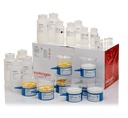 Invitrogen™ PureLink™ Expi Endotoxin-Free Mega Plasmid Purification Kit, 4 Preps