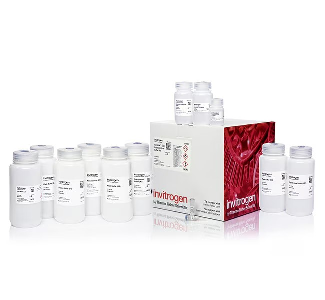 Invitrogen™ PureLink™ Expi Endotoxin-Free Buffer Set 