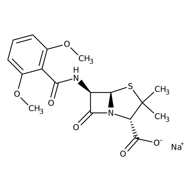 Thermo Scientific™ Methicillin sodium salt, ≥99%, 1g 