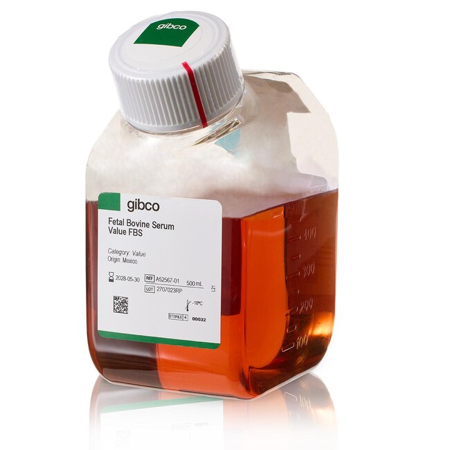 Thermo Scientific™ Gibco™ Fetal Bovine Serum FBS, Qualified, heat inactivated, Brazil