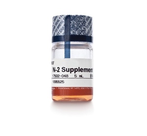 Gibco™ N-2 Supplement (100X)