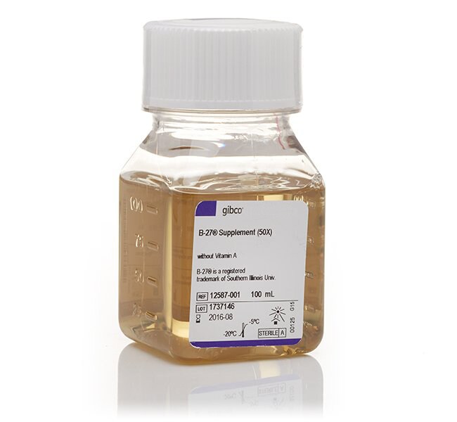Gibco™ B-27™ Supplement (50X), minus vitamin A