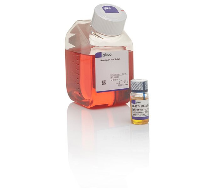 Gibco™ B-27™ Plus Neuronal Culture System 