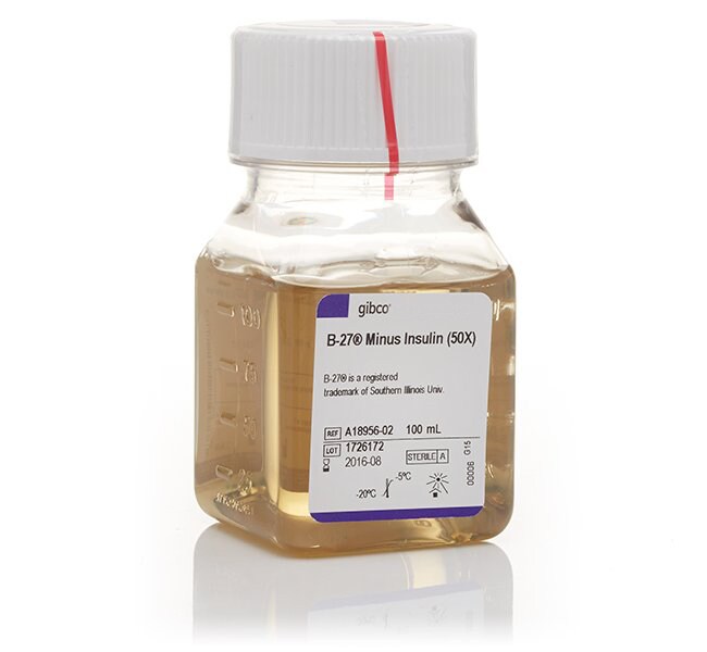 Gibco™ B-27™ Supplement, minus insulin