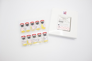 Liofilchem® Campylobacter CCDA Supplement, 10 x 10 mL