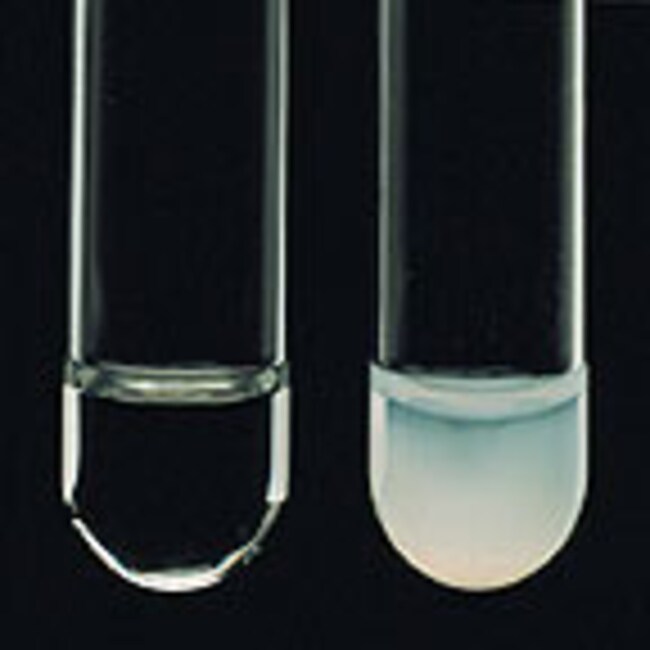 Thermo Scientific™ Remel™ Lysostaphin Test Kit, 25 Tests