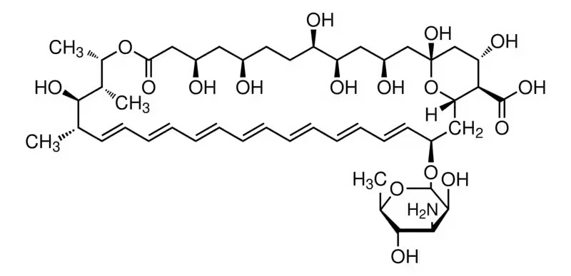 Apollo Scientific™ Amphotericin B, USP Grade