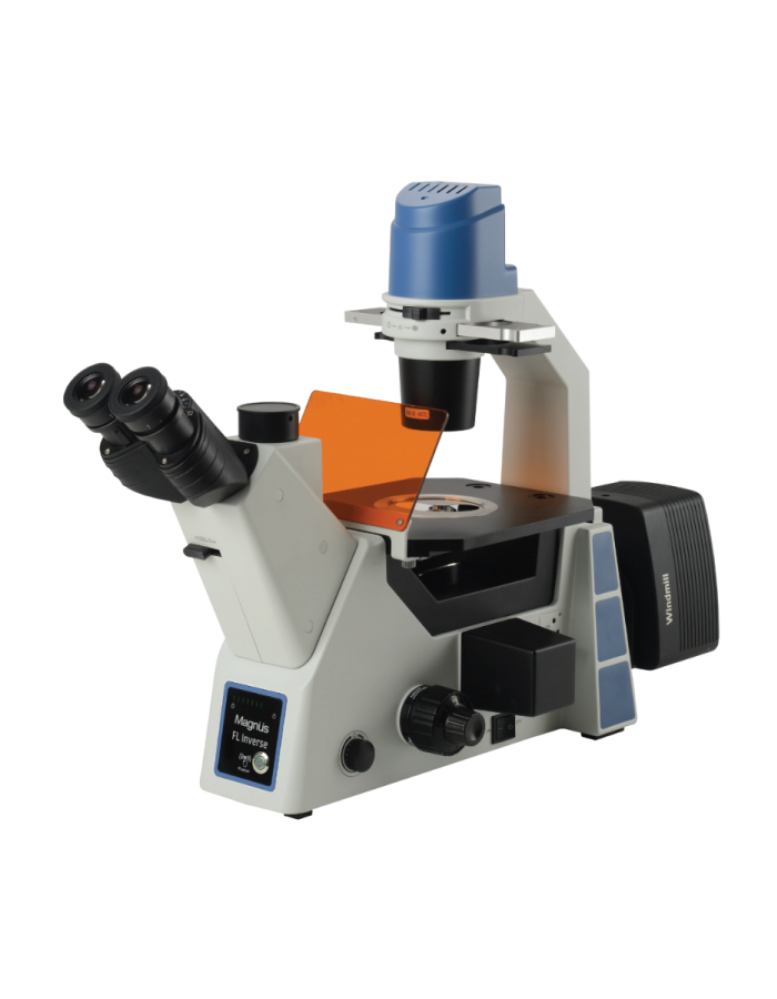 Magnus Trinocular Inverted Fluorescence Microscope