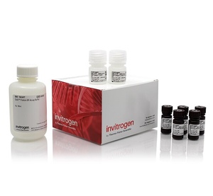 Invitrogen™ Qubit™ Protein Assay Kit