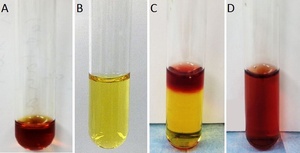 Thermo Scientific™ Oxoid™ Nitrocefin Solution, 2 x 5 Vials 