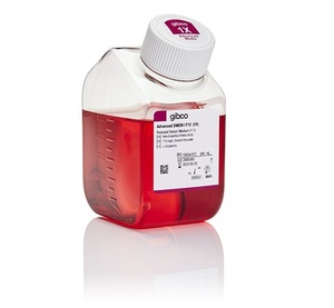 Gibco™ Advanced DMEM/F-12