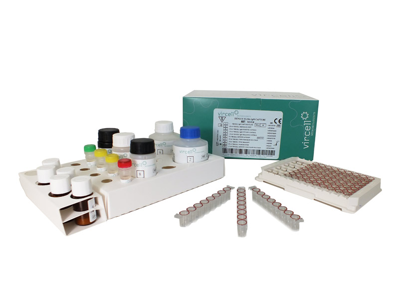 Vircell ZIKA ELISA Kit, 96 Tests