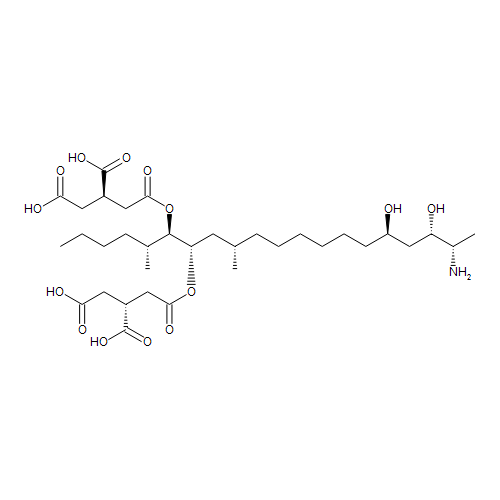 LGC Fumonisins B1 & B2 Mixture, 50 µg/mL in Acetonitrile/Water, 1 mL