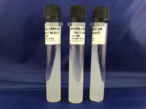 Liofilchem™ Middlebrook 7H11 Agar