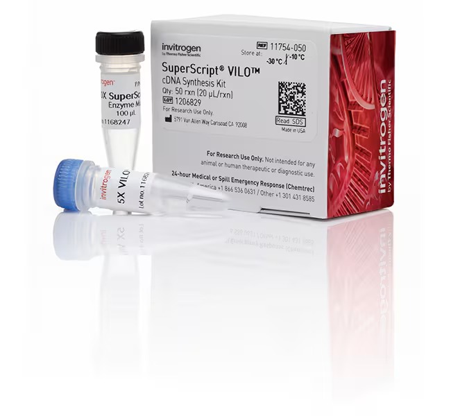 Invitrogen™ SuperScript™ VILO™ cDNA Synthesis Kit
