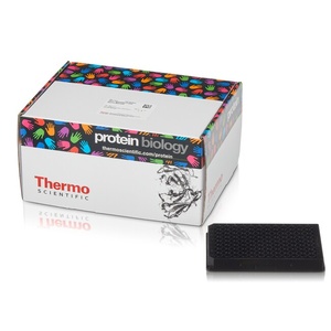 Thermo Scientific™ Pierce™ Streptavidin Coated High-Capacity Plates