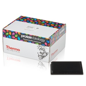 Thermo Scientific™ Pierce™ NeutrAvidin™ Coated Plates 