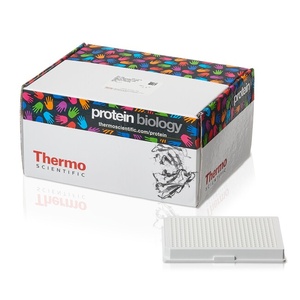 Thermo Scientific™ Pierce™ NeutrAvidin™ Coated Plates 