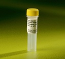 Thermo Scientific™ ActivX™ Desthiobiotin-FP Serine Hydrolase Probe, 	4.6 μg