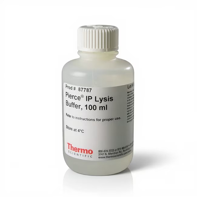 Thermo Scientific™ Pierce™ IP Lysis Buffer