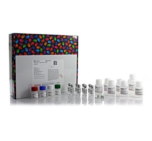 Thermo Scientific™ EasyPep™ MS Sample Prep Kit