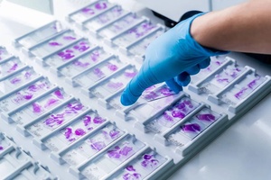 Stains, Dyes and Indicators