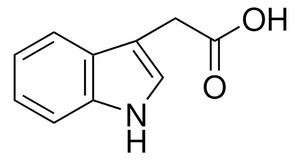 Thermo Scientific™ Indol-3-ylacetic acid ≥98%