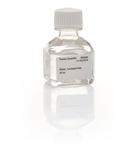 Thermo Scientific™ Water, nuclease-free