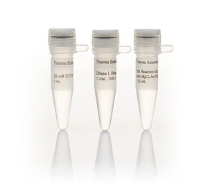Thermo Scientific™ DNase I, RNase-free (1 U/µL), 1,000 units