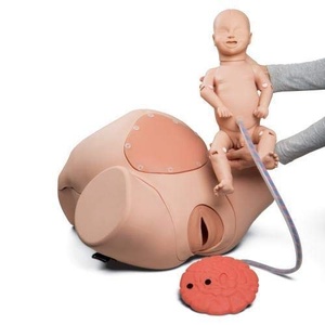3B Scientific® Birthing Simulator PRO 