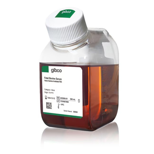 Thermo Scientific™ Gibco™ Fetal Bovine Serum FBS, Qualified, heat inactivated, Brazil