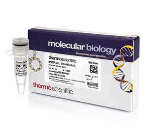 Thermo Scientific™ dNTP Mix (10 mM each)