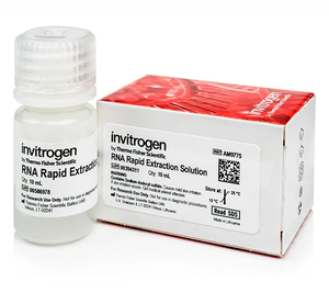 Invitrogen™ RNA Rapid Extraction Solution, 10 mL