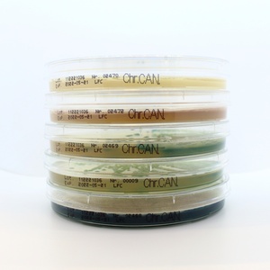 Liofilchem® Chromatic™ Candida 