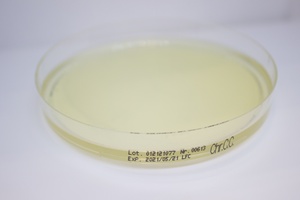 Liofilchem® Chromatic™ Coli Coliform 